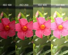 Image result for ISO Pic