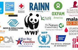 Image result for Non-Profit Organization