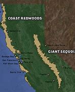 Image result for Redwood Forest On Map