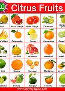 Image result for Citrus Fruits List