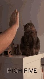 Image result for High five gif