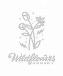 Image result for Arizona Wildflowers