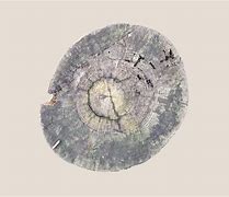 Image result for Tactile Texture Art Tree