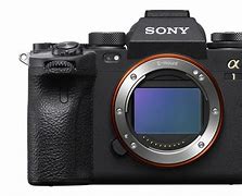 Image result for Sony Alpha 1 5.0MP Mirrorless