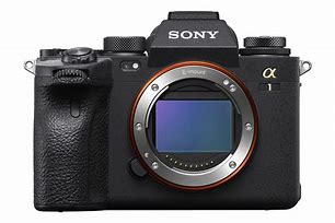 Image result for Sony Alpha 1 Mirrorless