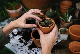 Image result for Eco-Friendly Projects