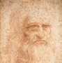 Image result for Leonardo Da Vinci Flying Machine