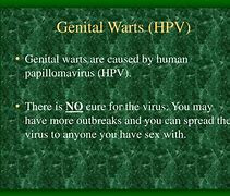 Image result for STI Genital Warts