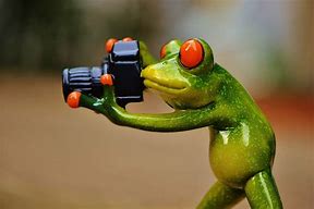 Image result for Funny Photographer Meme