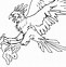 Image result for The Great Harpy Eagle Drawing