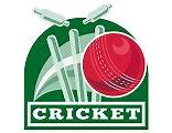 Image result for Cricket Wicket Pendant