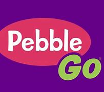 Image result for Pebble Go Home