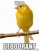 Image result for Canary Meme