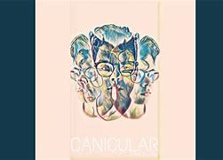 Image result for canicular