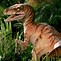 Image result for Velociraptor Jurassic Park