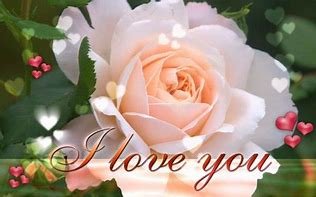 Image result for Beautiful I Love You Cards