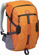 Image result for Orange Backpack PNG