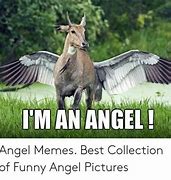 Image result for Morning Angel Meme