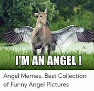 Image result for Angel Cat Meme