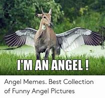 Image result for In the Arms of an Angel Meme