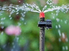 Image result for Drip Irrigation Sprinkler System