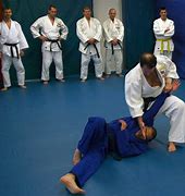 Image result for Tradicional Judo Kodokan