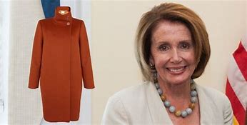 Image result for Nancy Pelosi Coat