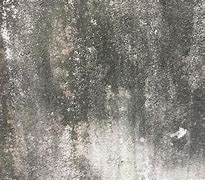 Image result for Concrete Dirty Wall Texture 8K