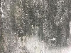 Image result for Concret Wall Dirt Texture