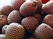 Image result for aguacgas