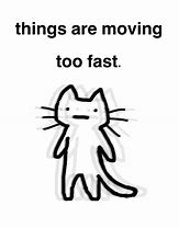 Image result for Fast Cat Meme