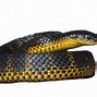 Image result for Most Poisonous Snake in World