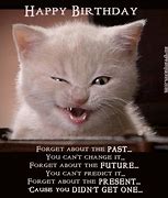 Image result for Happy Birthday Cat Quotes