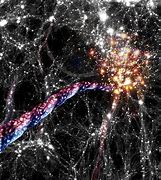 Image result for Universe Wall Structure