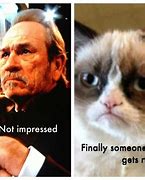 Image result for Boss Cat Meme
