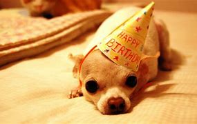 Image result for Happy Birthday Dogs Computer Art