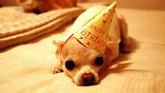 Image result for Happy Birthday with Dog Background