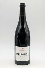 Image result for Yannick Amirault Bourgueil Petite Cave