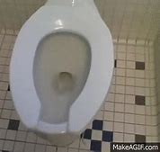 Image result for Toilet Flush Button