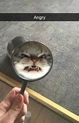 Image result for Angry Reaction Face Meme