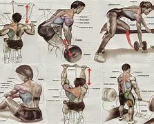 Image result for Best Back Workout with Names