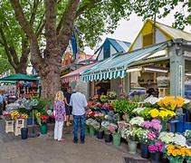 Image result for What Is a Outdoor Market
