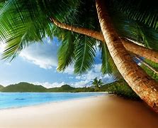 Image result for 3840X1600 Wallpaper Caribbean Beach