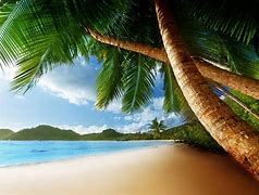 Image result for High Quality Beach Background