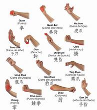 Image result for Wing Chun Techniques Chart