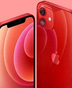 Image result for iPhone 12 Mini Potrait