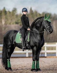 LeMiuex tack set - hunter green | Equestrian outfits, Dressage, Saddle pads