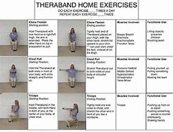 Image result for Seated Theraband Exercises
