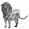Image result for Black and White Lion Line Drawing