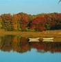 Image result for Maine Fall Foilage Pictures